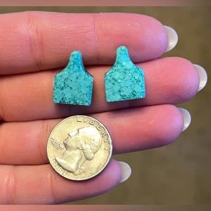 Turquoise, cattle tag earrings